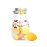 6 in 1 Beauty Blender Sponge