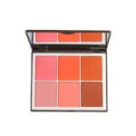 6 Color Elegant Matt & Silky Blushon - Image 3